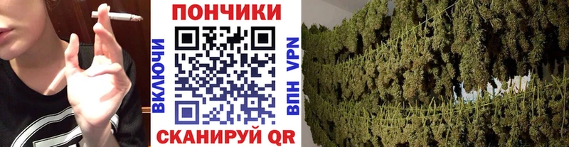 купить   Чулым  Конопля SATIVA & INDICA 